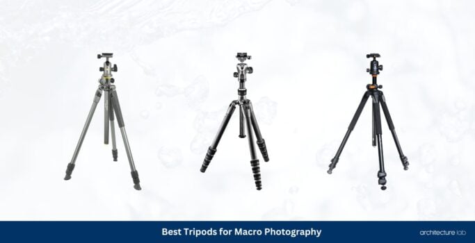 Best Tripods for Macro Photography